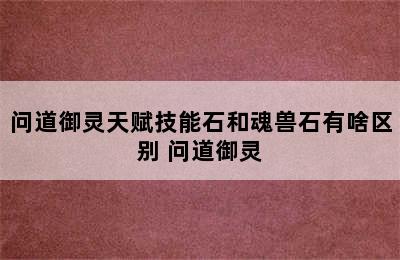 问道御灵天赋技能石和魂兽石有啥区别 问道御灵